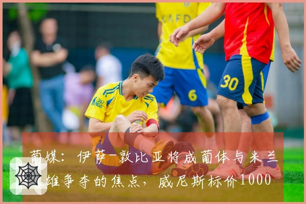 葡媒：伊萨-敦比亚将成葡体与米兰双雄争夺的焦点，威尼斯标价1000万欧